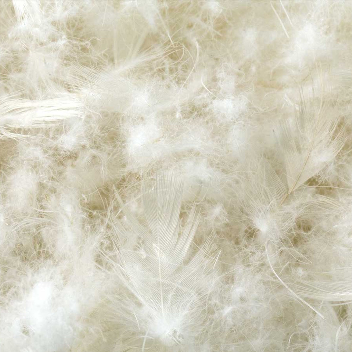 Z Cotton Encased Feather + Down Blend Pillow - Jura Sleep