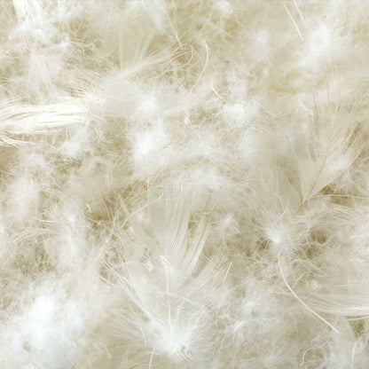 Z Cotton Encased Feather + Down Blend Pillow